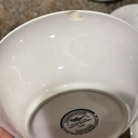 Tanglewood By CELLAR Plates (10 piece) - Picture 8 of 9